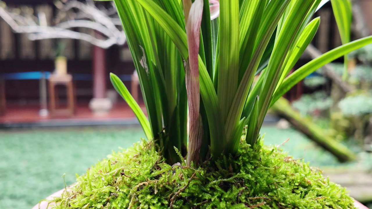 DJI_20250306111219_0153_D
