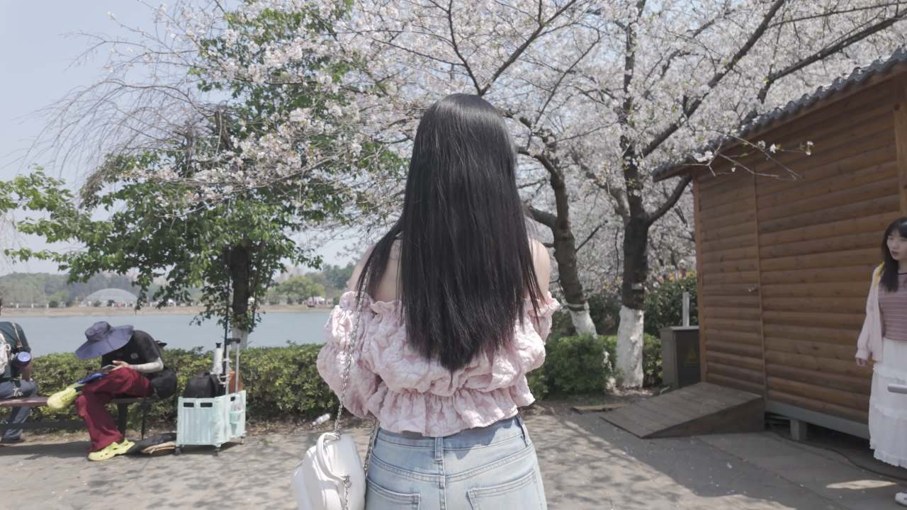背影 3