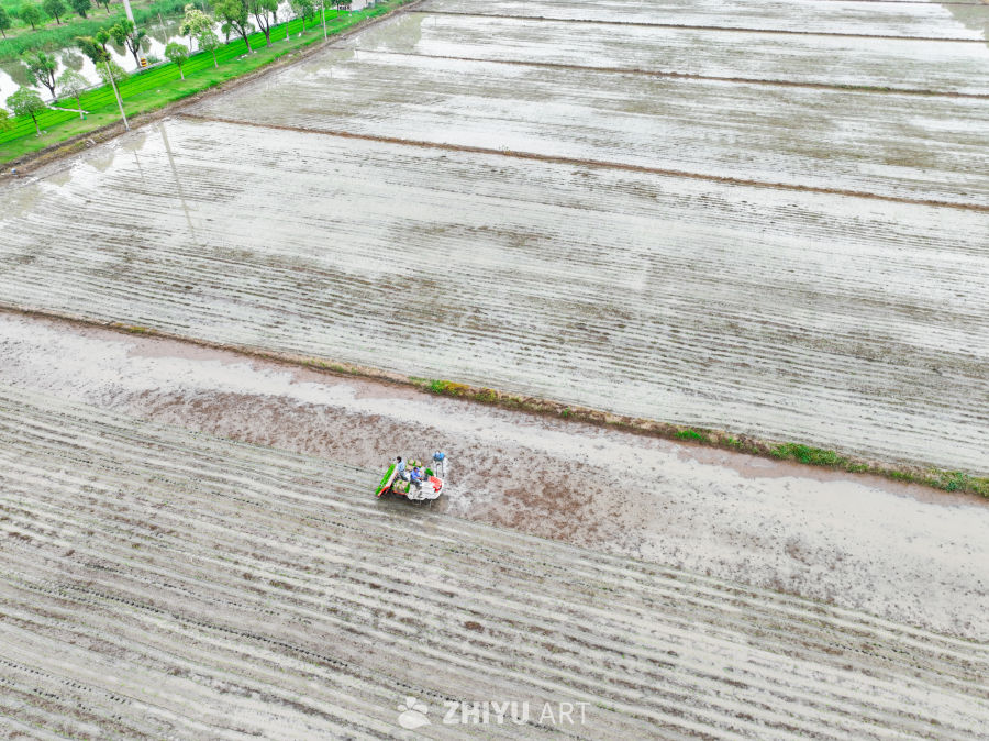 夏种农忙时节 45