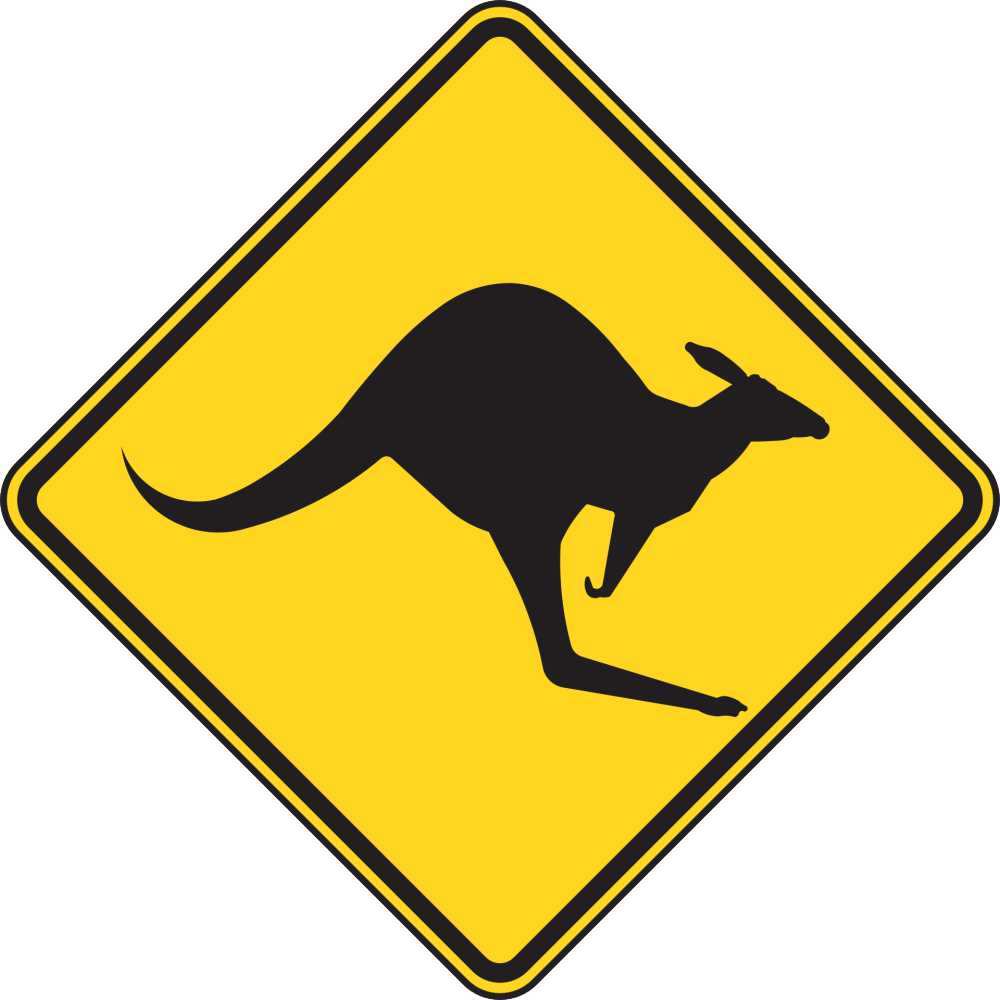 警告袋鼠道路标志牌上写街迹象危险澳大利亚动物野生动物驾驶公路