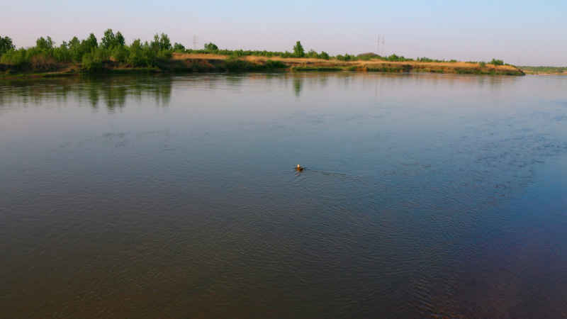 西安渭河生态