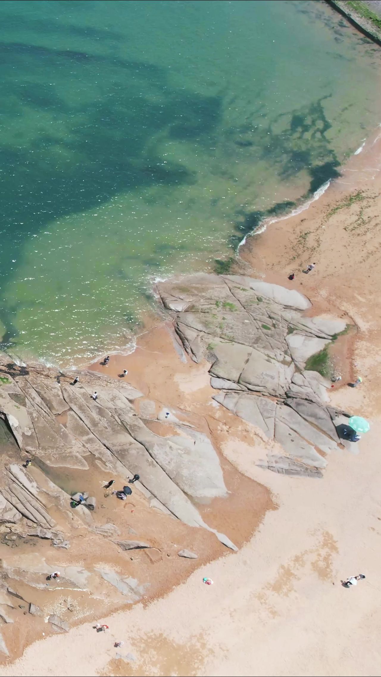 大海海浪沙滩自然风光竖屏航拍 