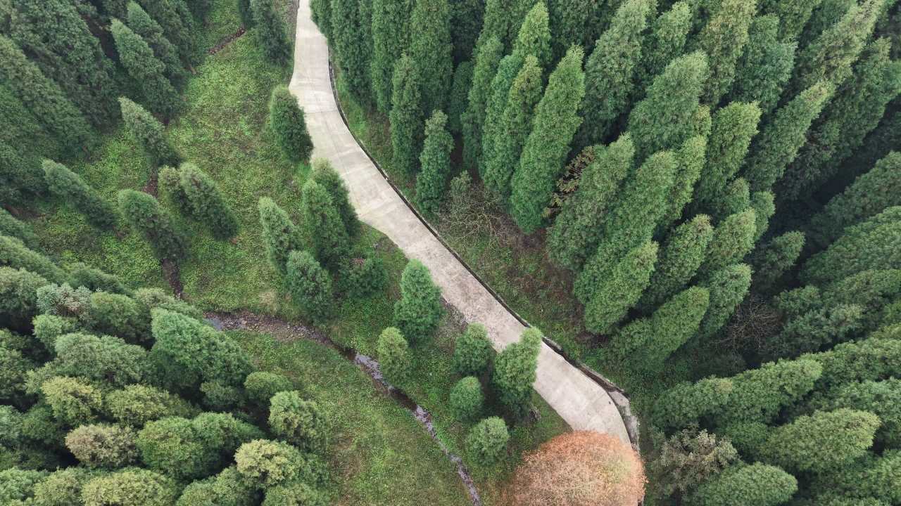 DJI_20251125132901_0017_D 5