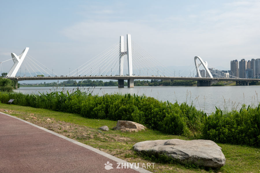 湿地公园一角 17