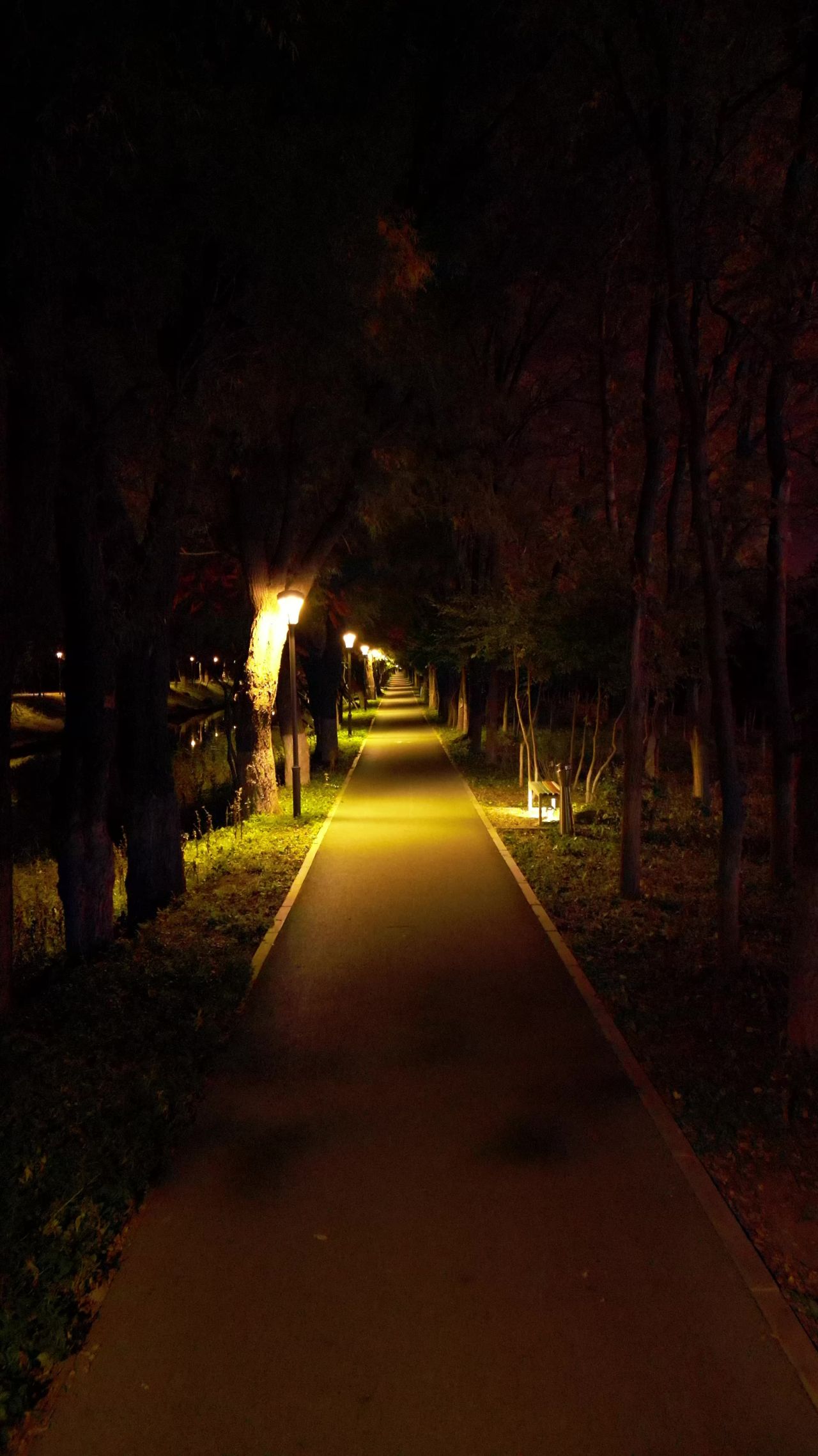 夜晚城市公园小路