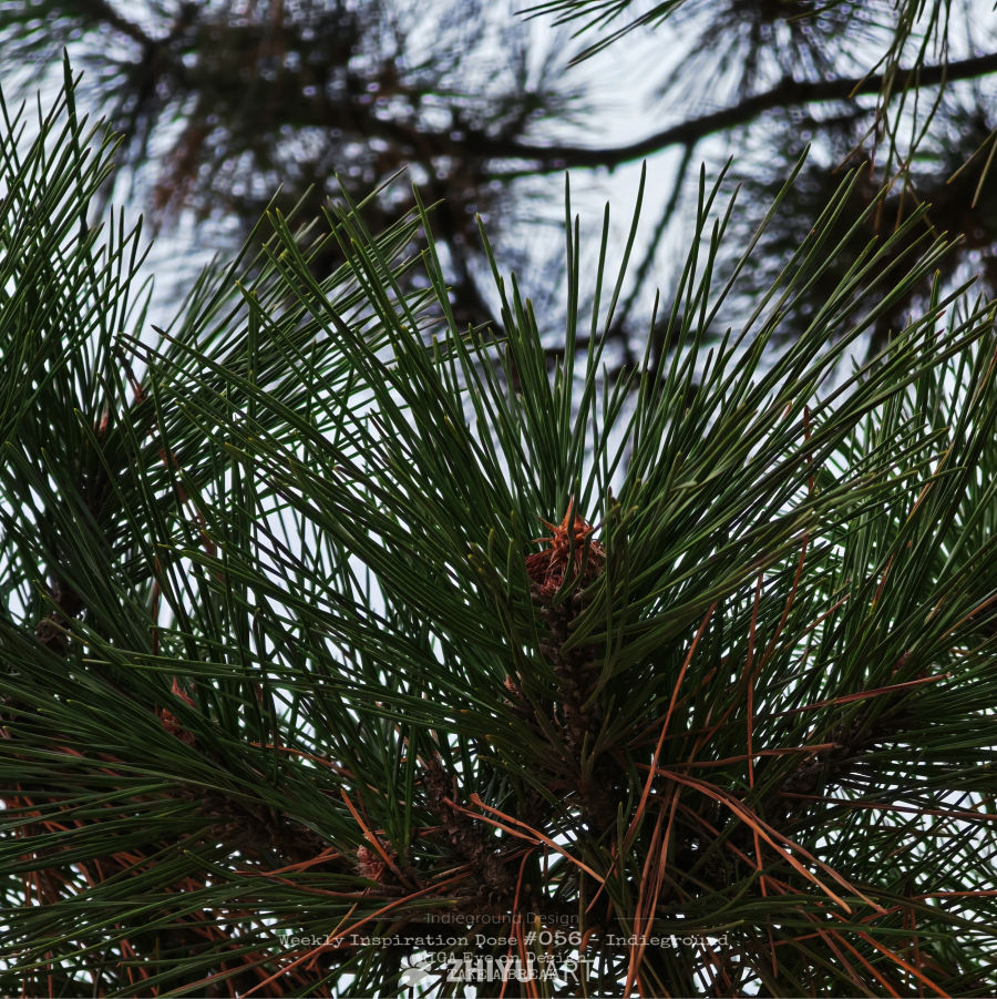 风格摄影随拍 34