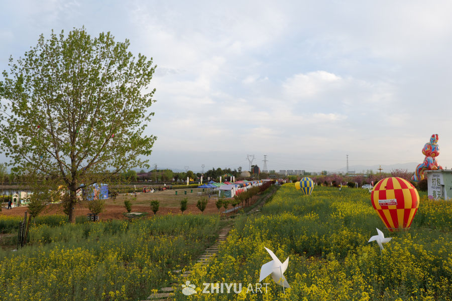 油菜花海 13