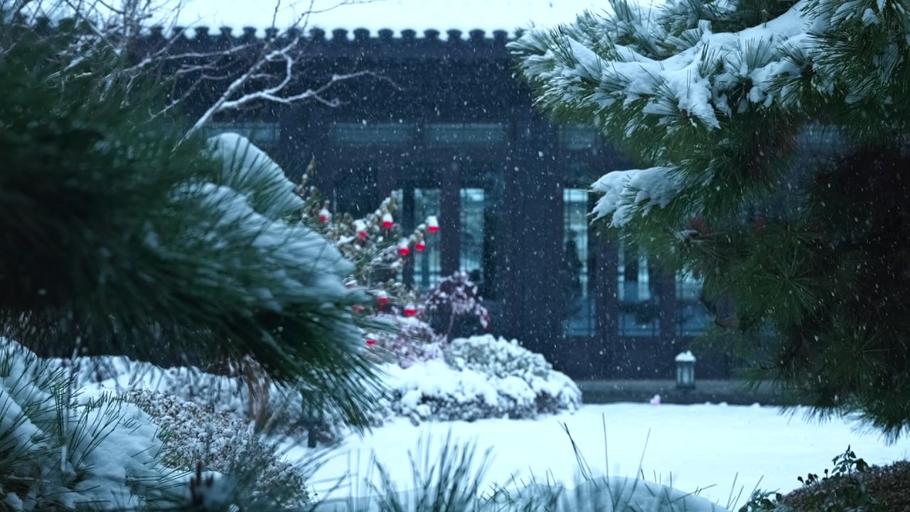 中式园林雪景 园林雪景 江南雪景 14