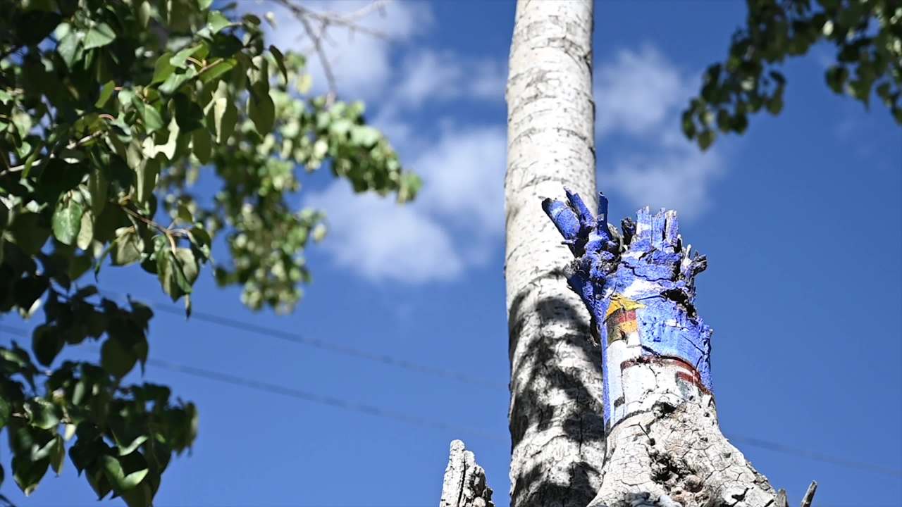 西藏新农村