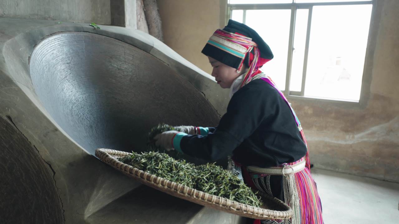 传统茶农的日常
