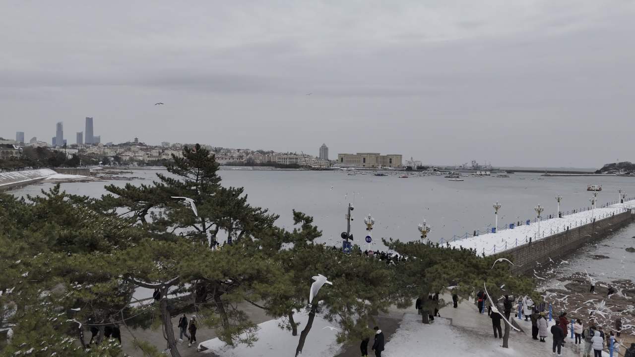 青岛市南老城区栈桥海边雪景航拍 2