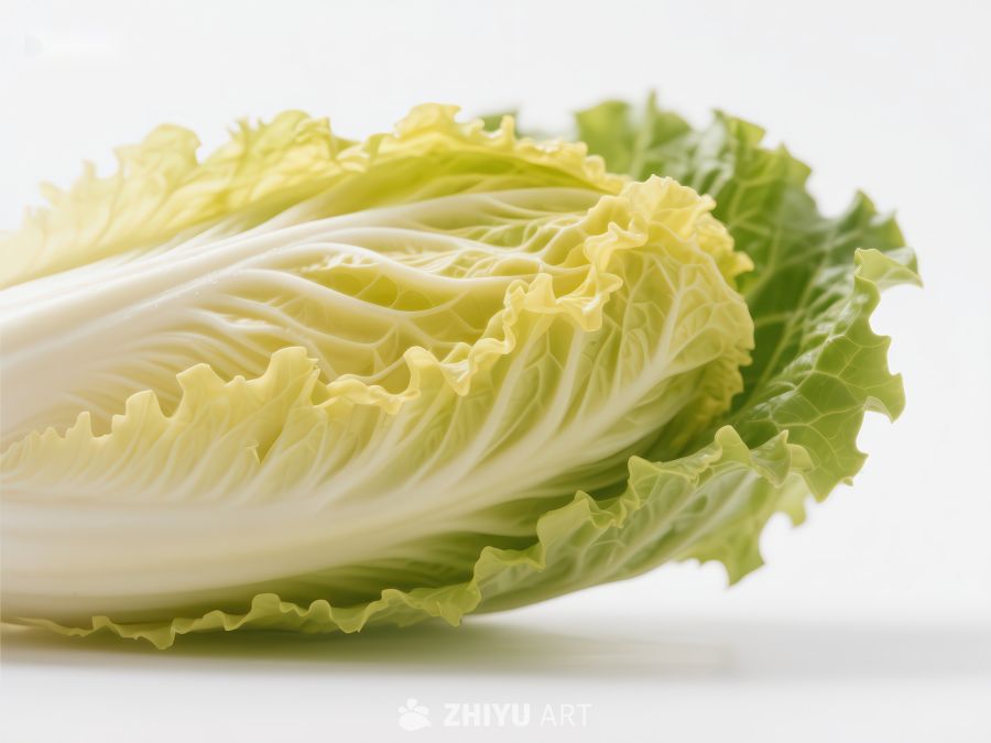 新鲜白菜的特写 377