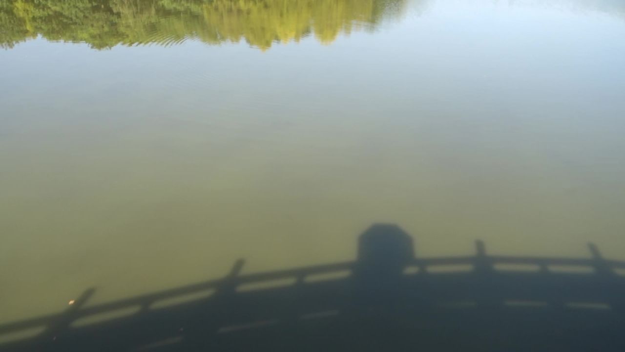 湖面倒影水体一色