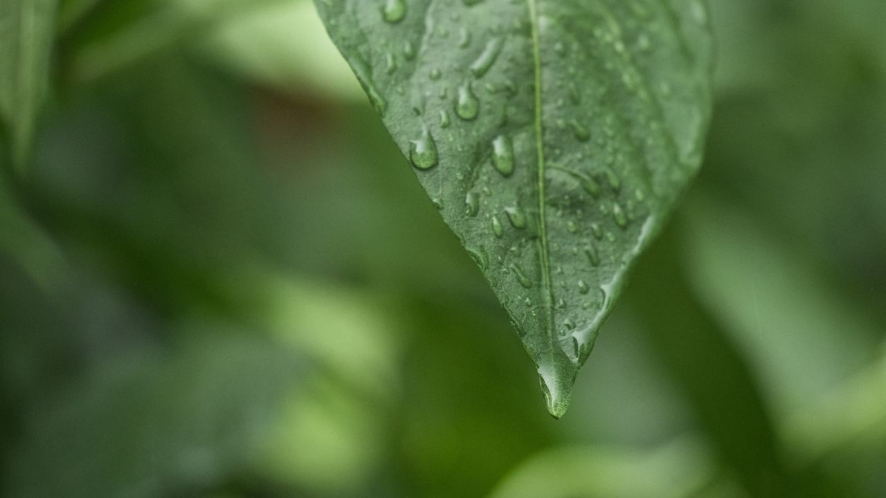 一天下雨水滴 8