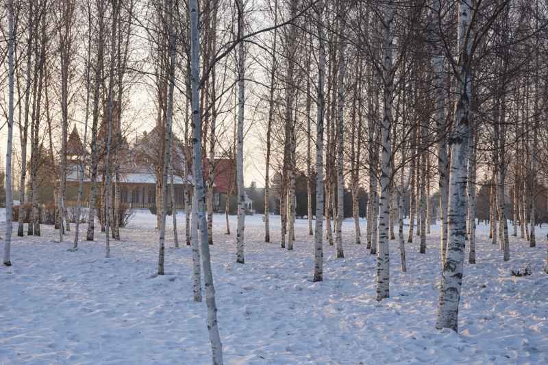 晨曦中的雪景