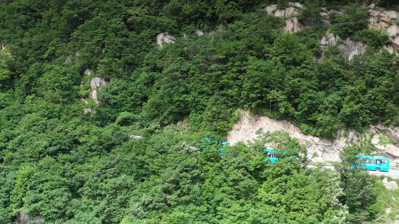 山间绿意盎然的宁静之旅
