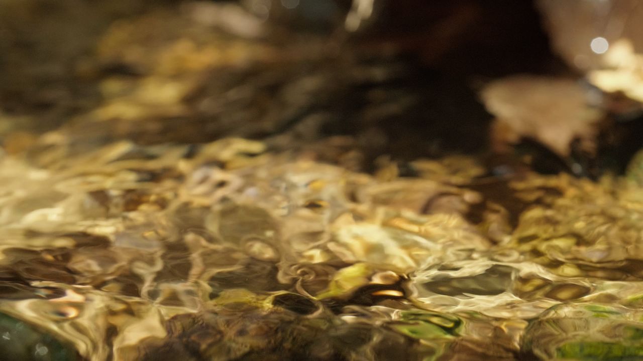 清澈山泉水温泉矿泉水小溪山涧 4