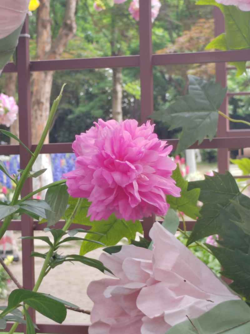 花