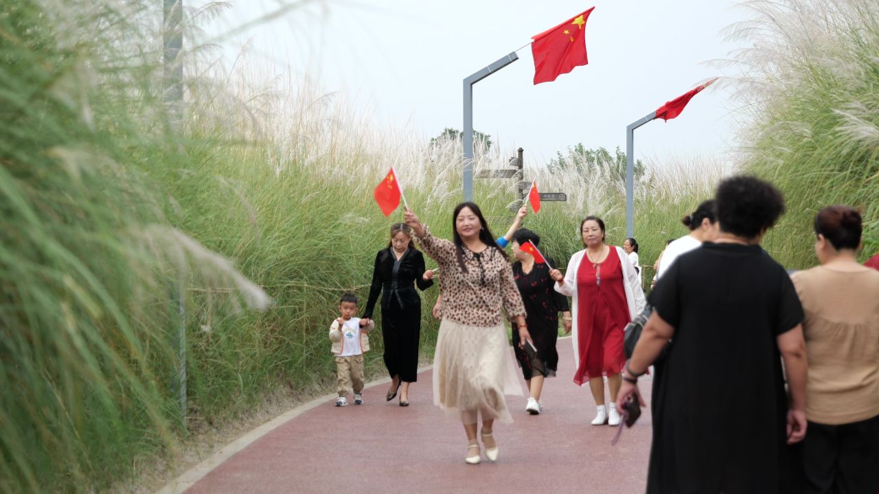 国庆江边芦苇荡 23