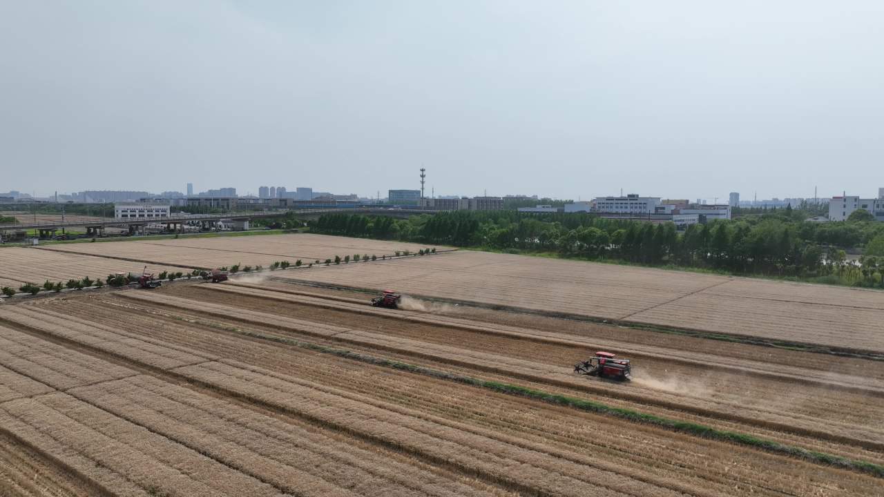 航拍夏收农忙时节 9