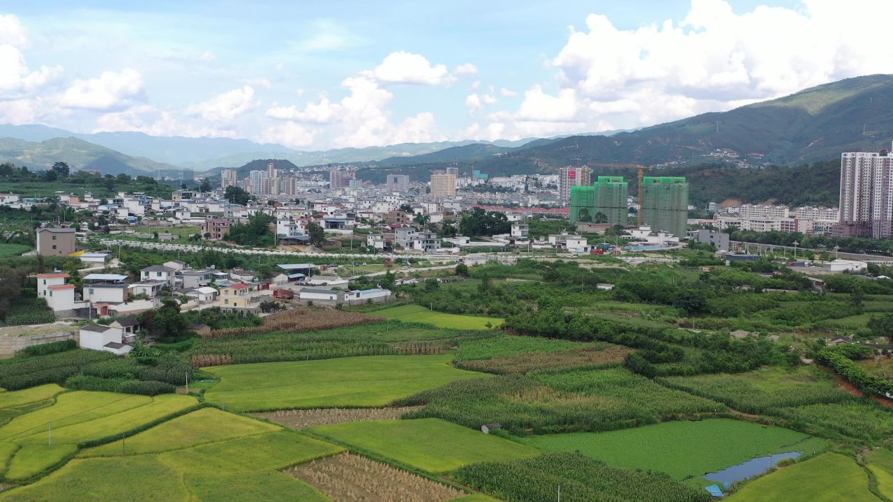 城市、稻田 7