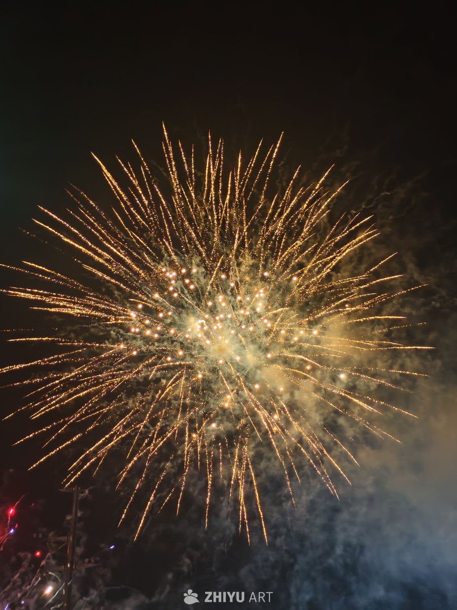 烟花炸开的瞬间