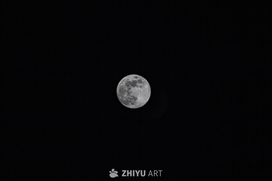 随拍 6