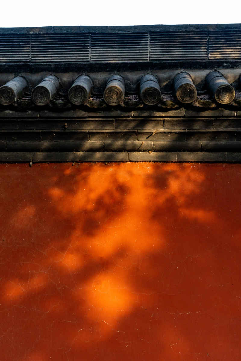 寺庙 18