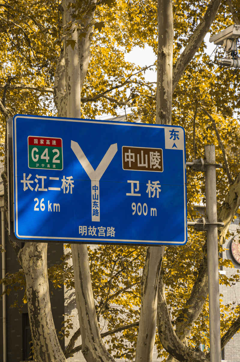 南京 5