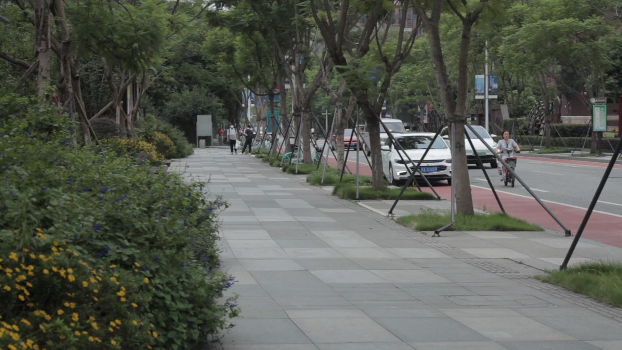 熊猫基地，沙河，锦江339绿道
