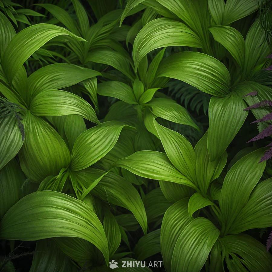 茂盛的绿色森林，包含多种蕨类植物。这些植物以特写镜