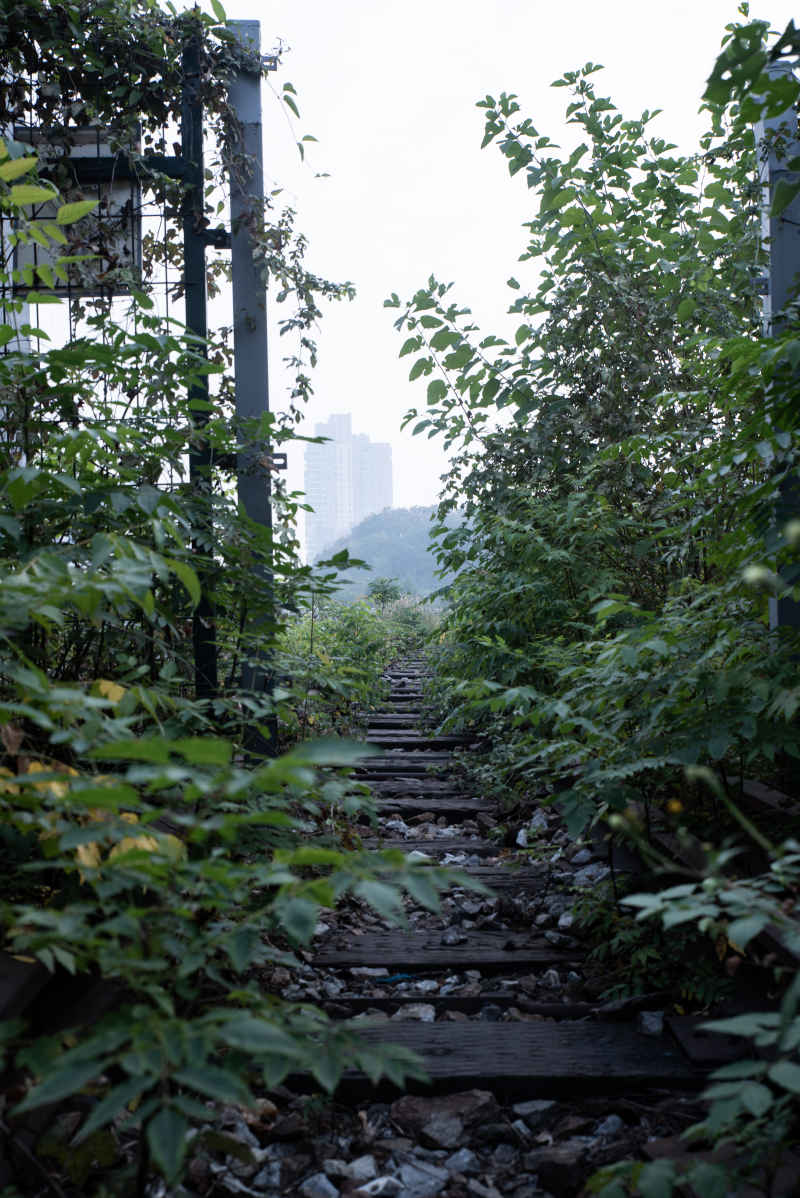 废弃铁路