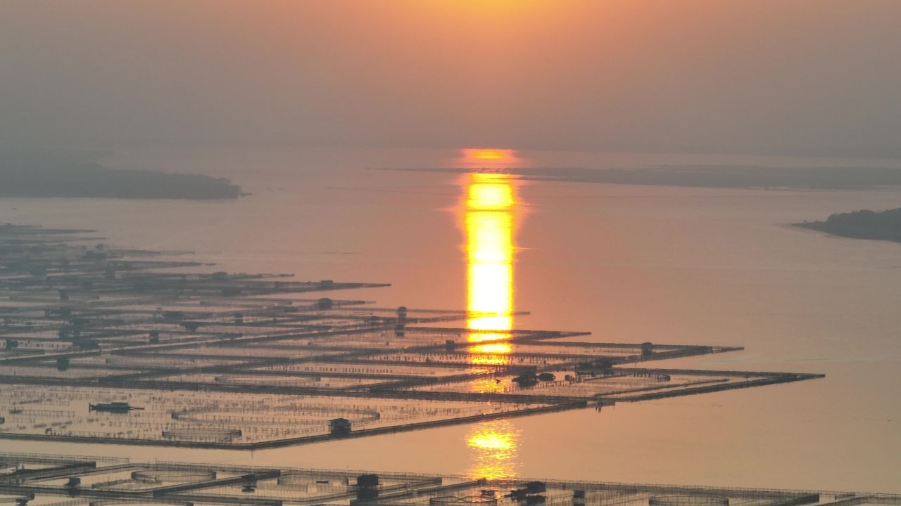 航拍夕阳下大闸蟹围网养殖