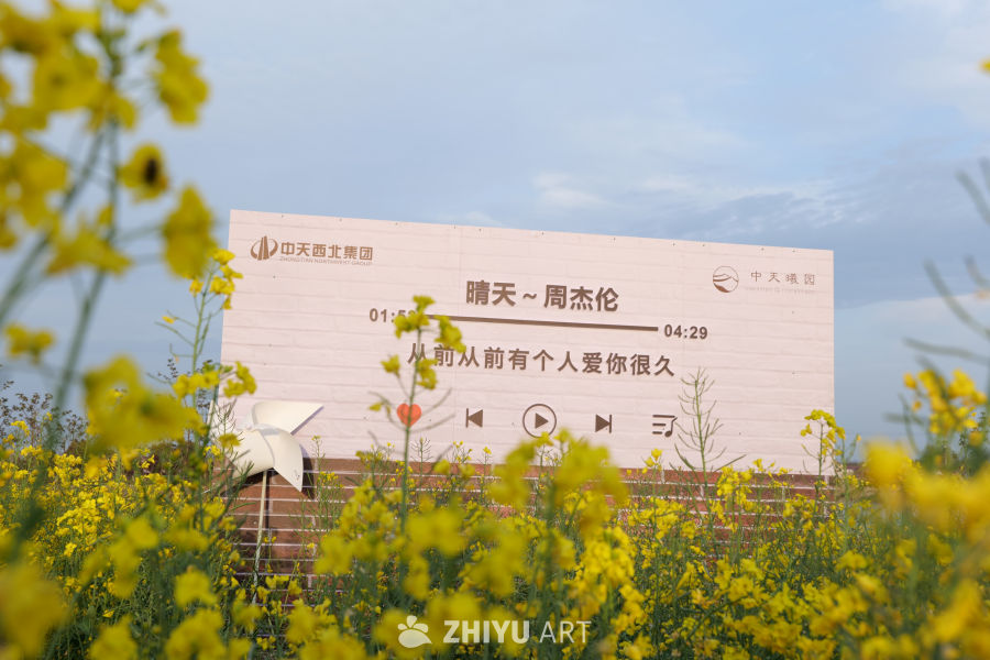油菜花海 15