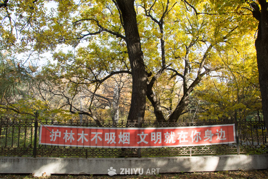 城市公园秋景