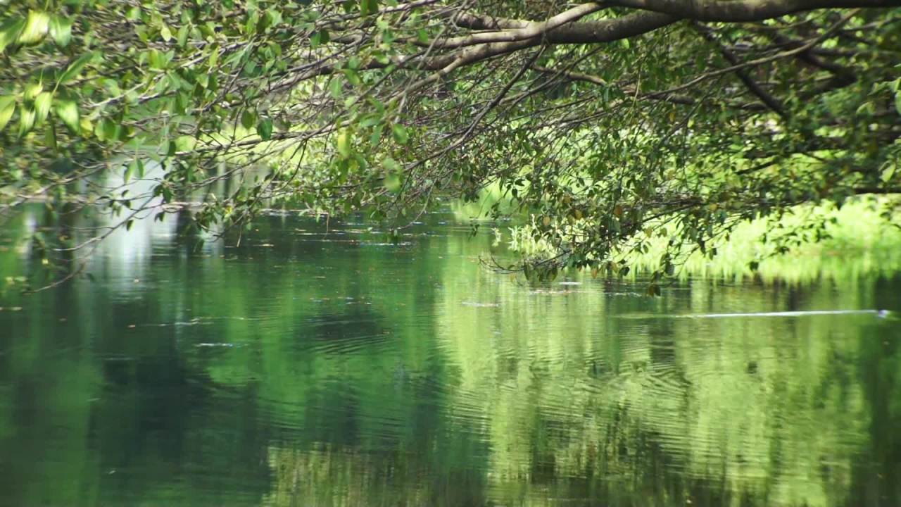 水景