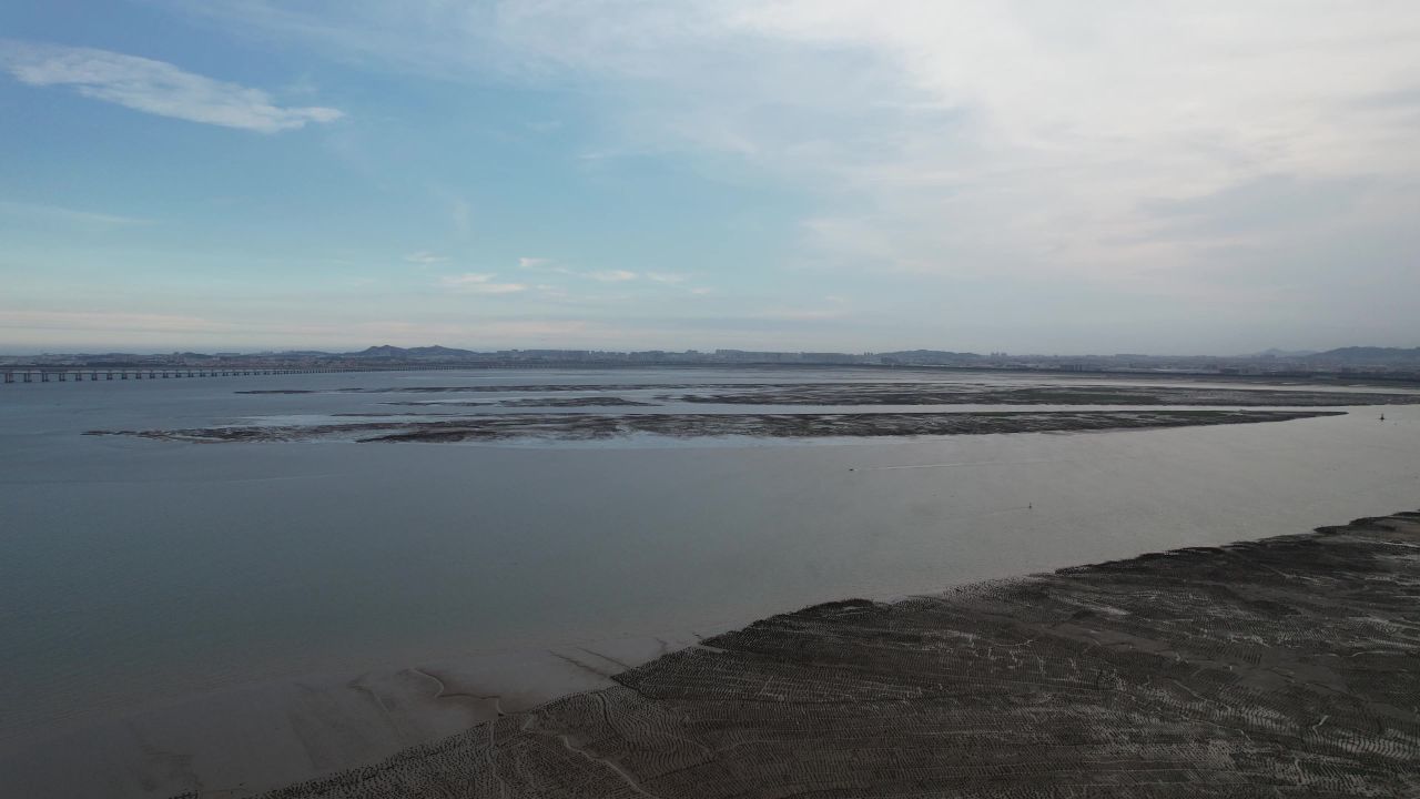 退潮后大海海浪沙滩航拍