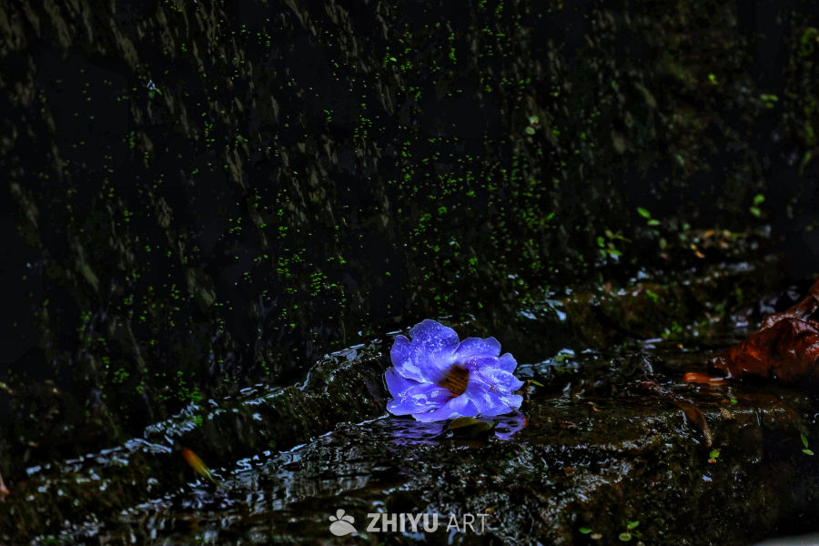 清宁