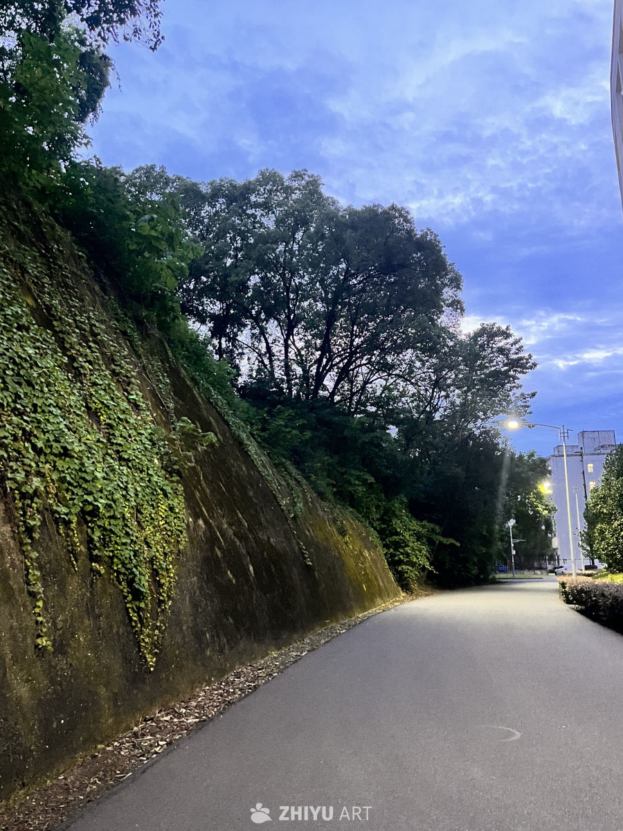 夜幕下的静谧小路
