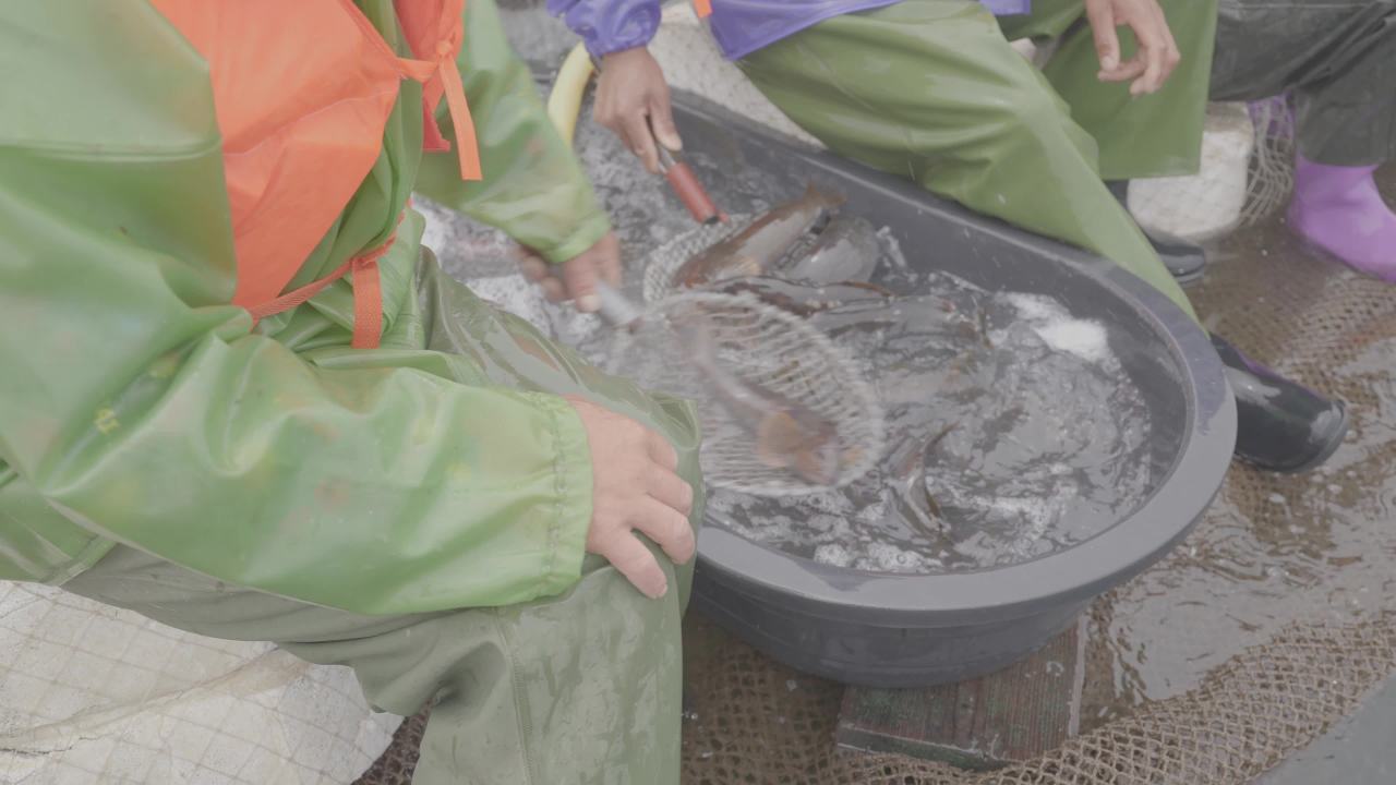 渔民捞鱼作业场景