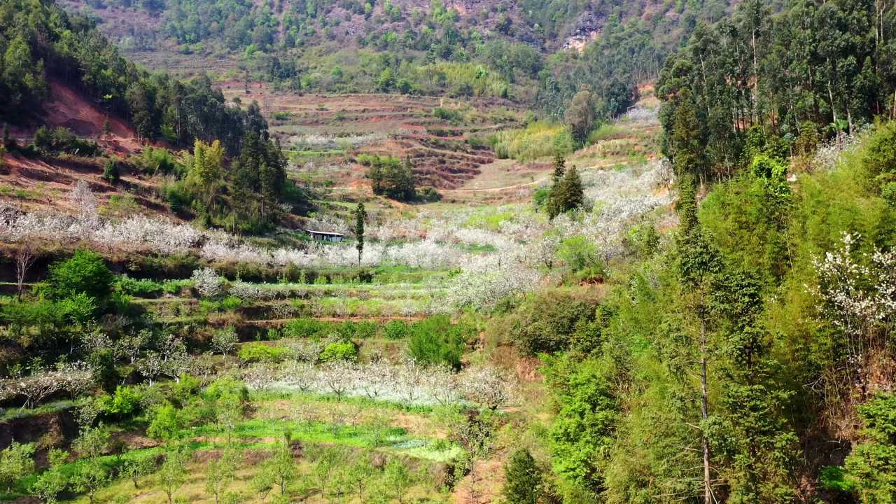 春日山间梯田美景