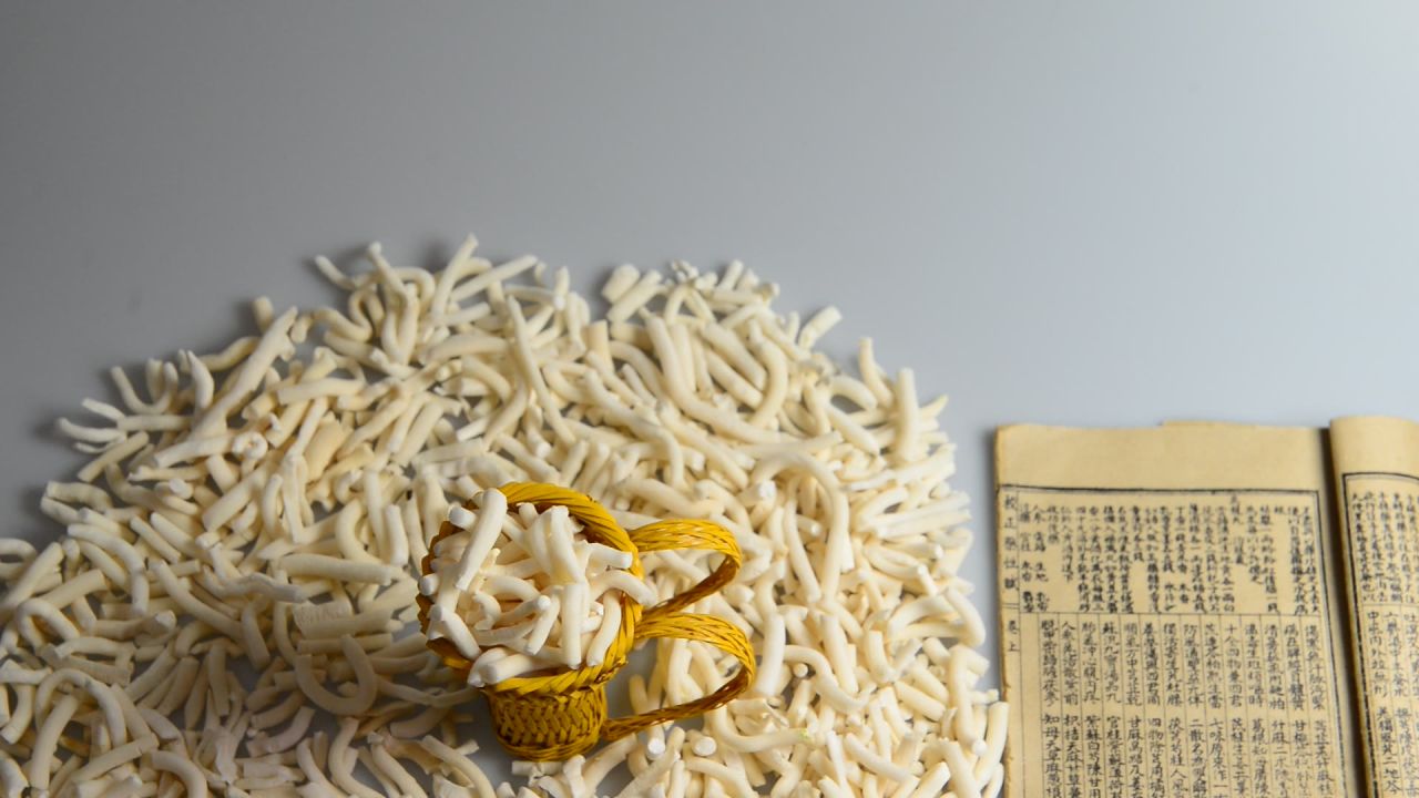 绣球小通草 22