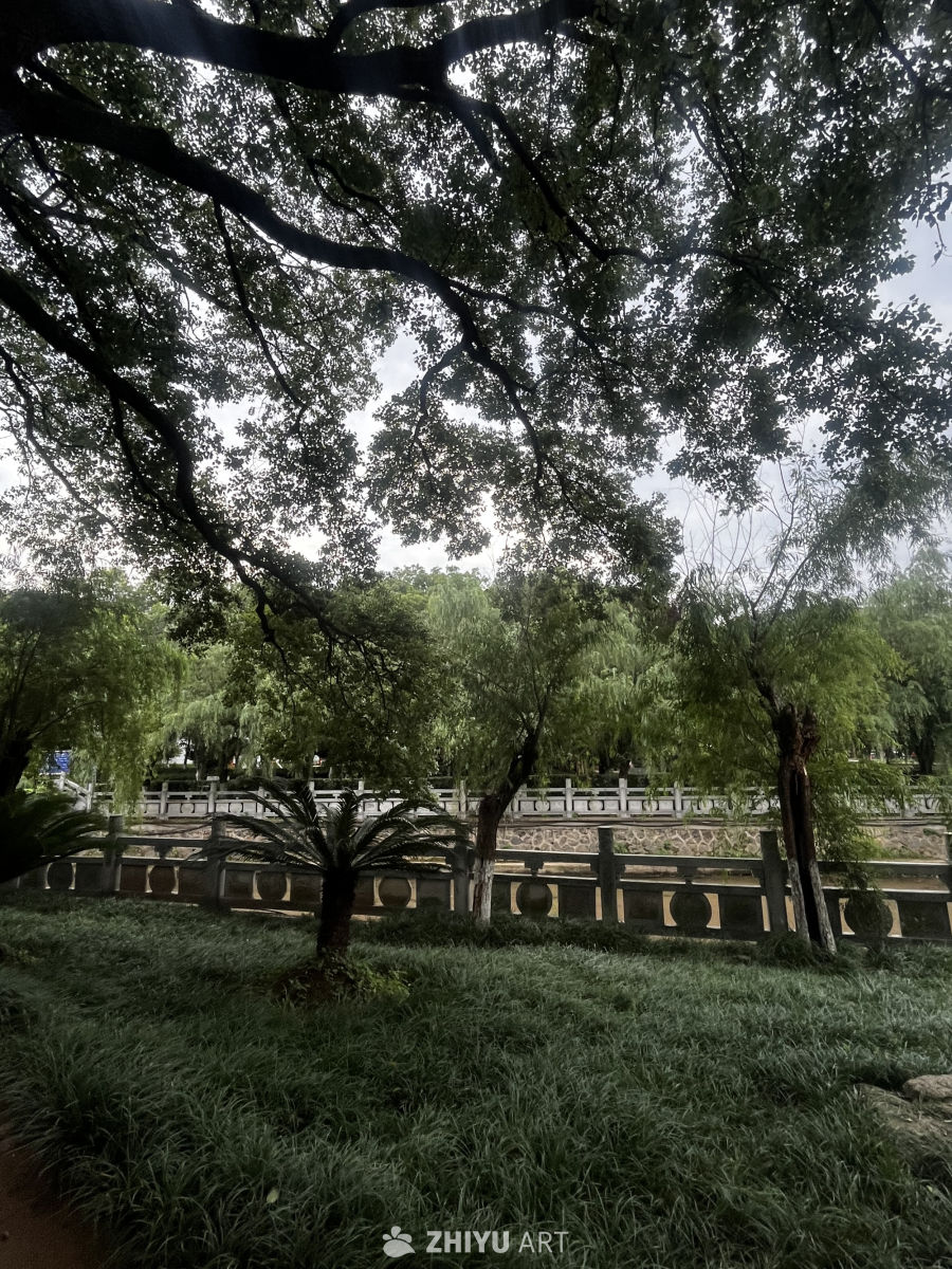阴天下的公园一角