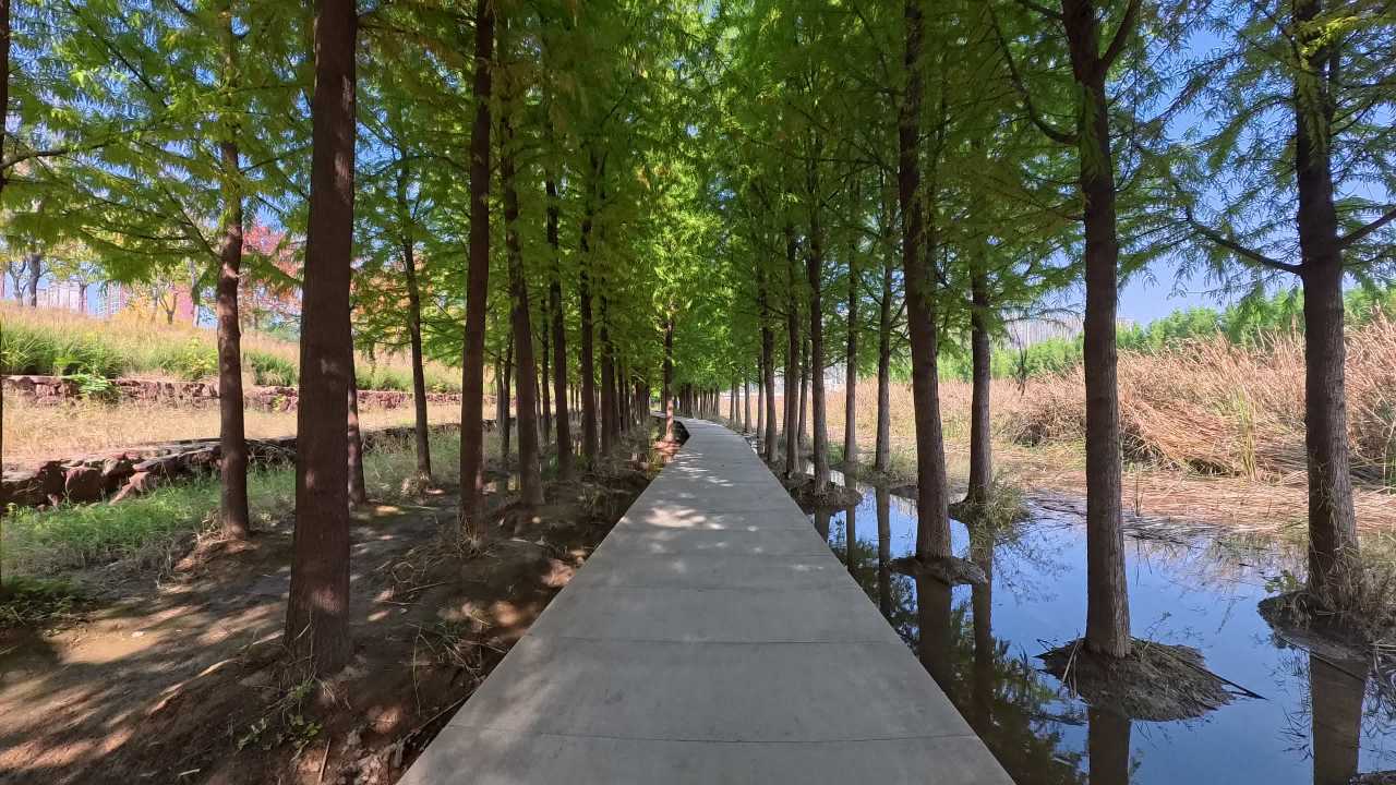 影石Insta360 GO Ultra 4K实拍视频样片 21