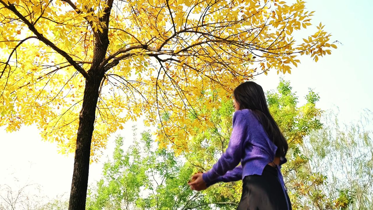 美女抛撒树叶 升格镜头 