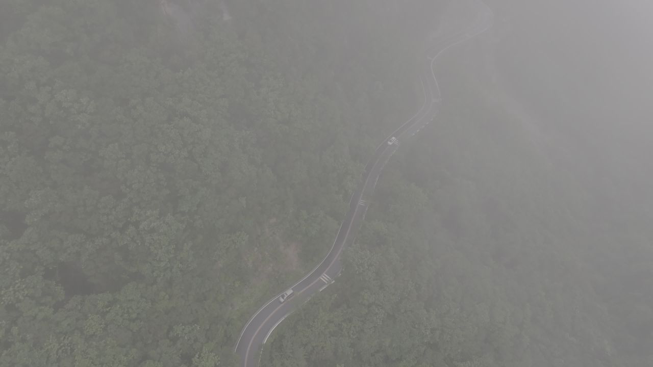 雾中森林蜿蜒路