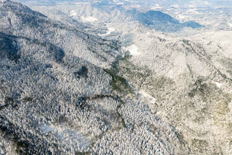 冬天雪景 