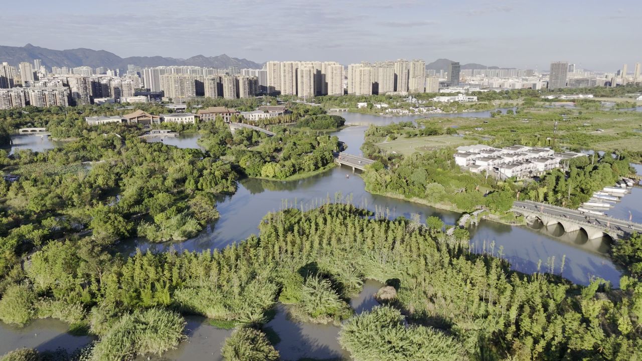 温州三垟湿地风光 15