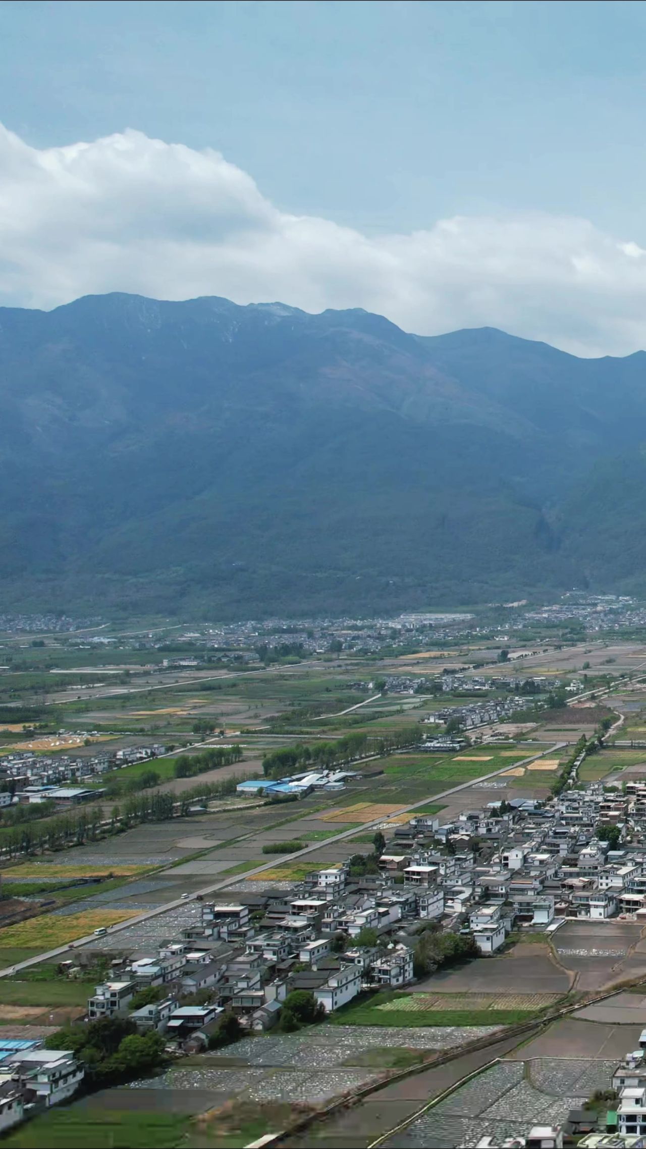 乡村田园农业种植竖屏航拍 