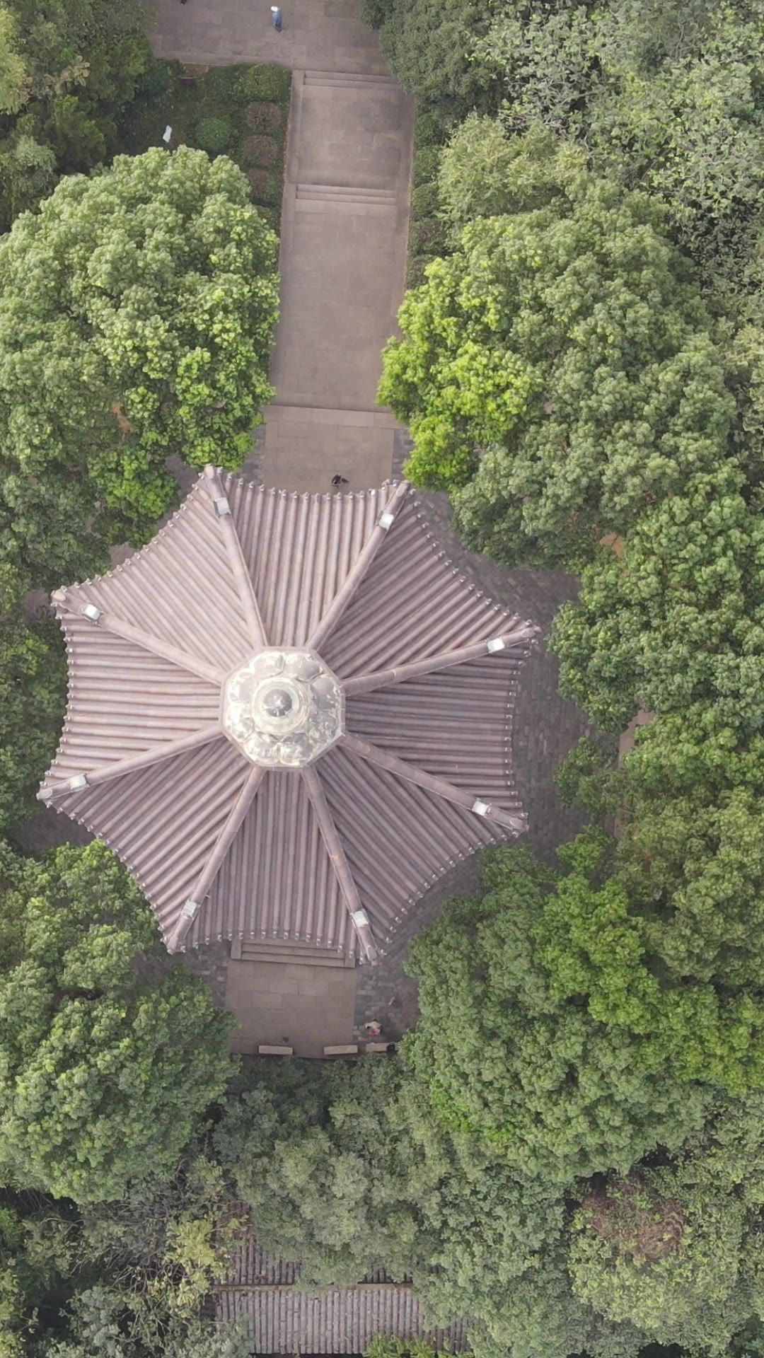 浙江绍兴稽山公园竖屏航拍